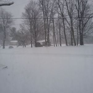 Meet your Posher, Tim